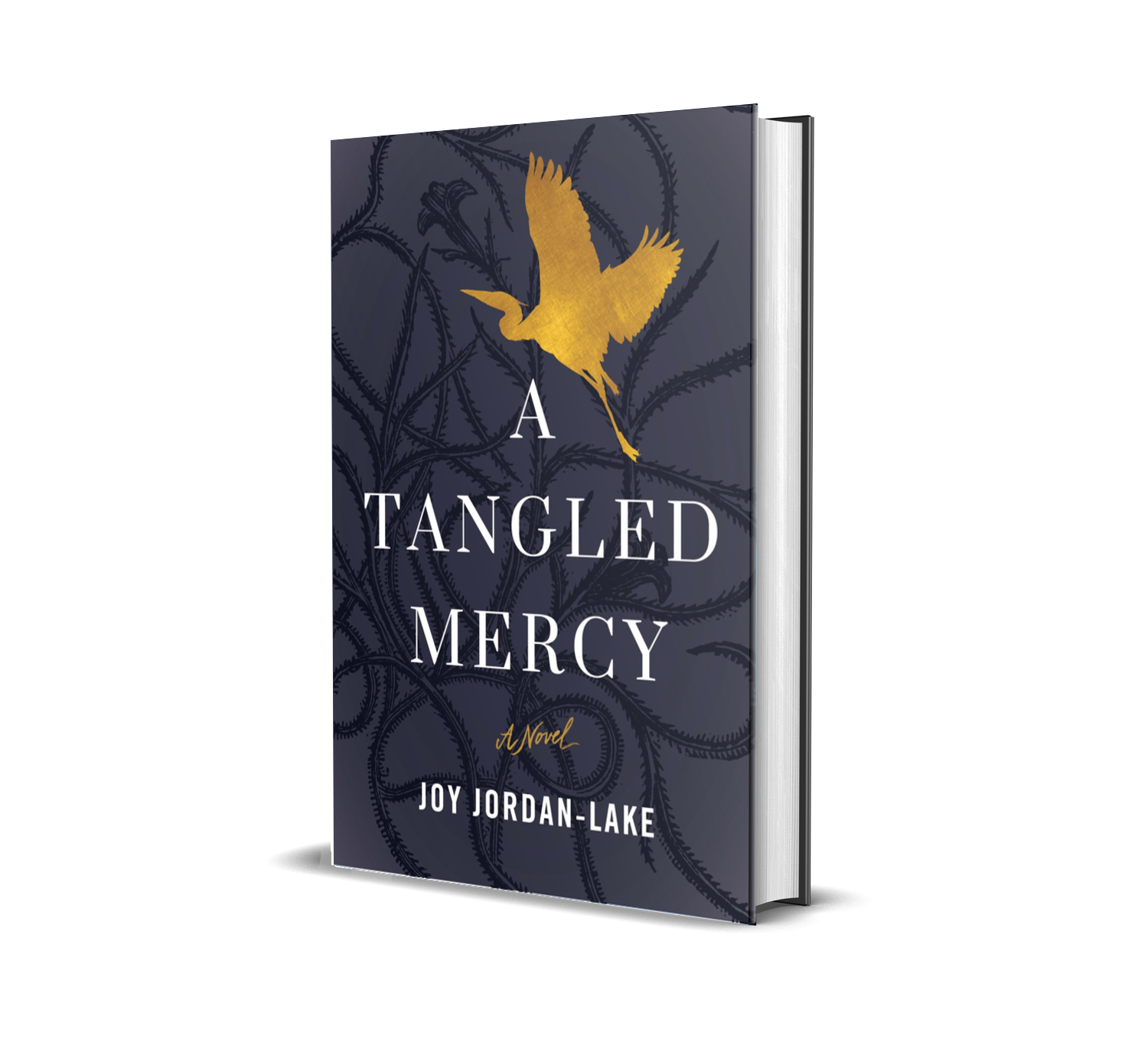 A Tangled Mercy