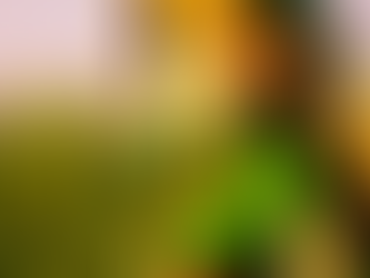 THE LEGEND OF ZELDA: OCARINA OF TIME REMAKE NA UNREAL ENGINE 5 - UMA REIMAGINAÇÃO NERD DESLUMBRANTE