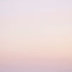 Pink Gradient_edited.jpg