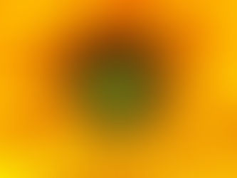 The Third Chakra: Your Incredible Center of Personal Power