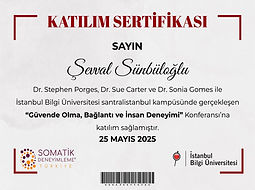 2025-05-25--stephen_porges--certificate--sevvalbasar@gmail.com--6664346554264--tr--1748263565686.jpg