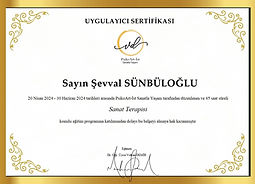 Şevval SÜNBÜLOĞLU.jpg
