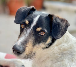 RESERVIERT: ENRIQUE - 08/2024