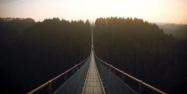 Forest Suspensionn Bridge