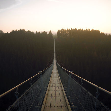 Forest suspension bridge