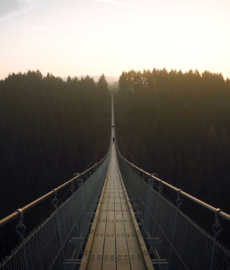 Forest Suspensionn Bridge