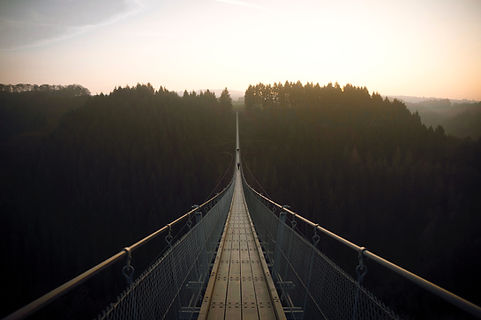 Floresta Ponte Suspensionn