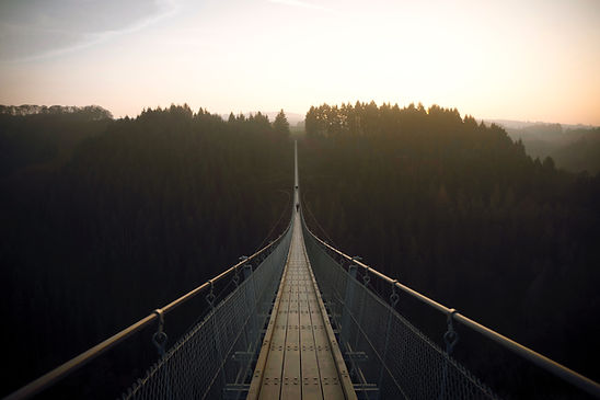 Wald Suspensionn Brücke