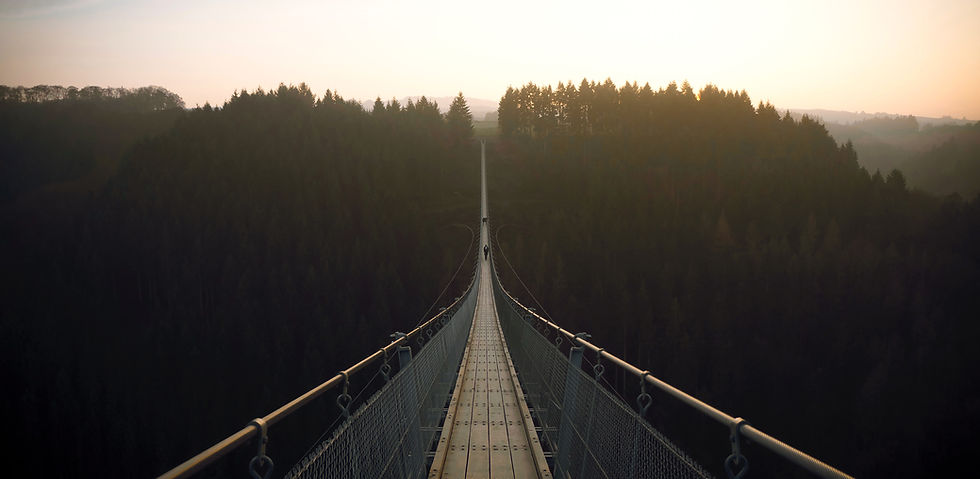 Forest Suspensionn Bridge
