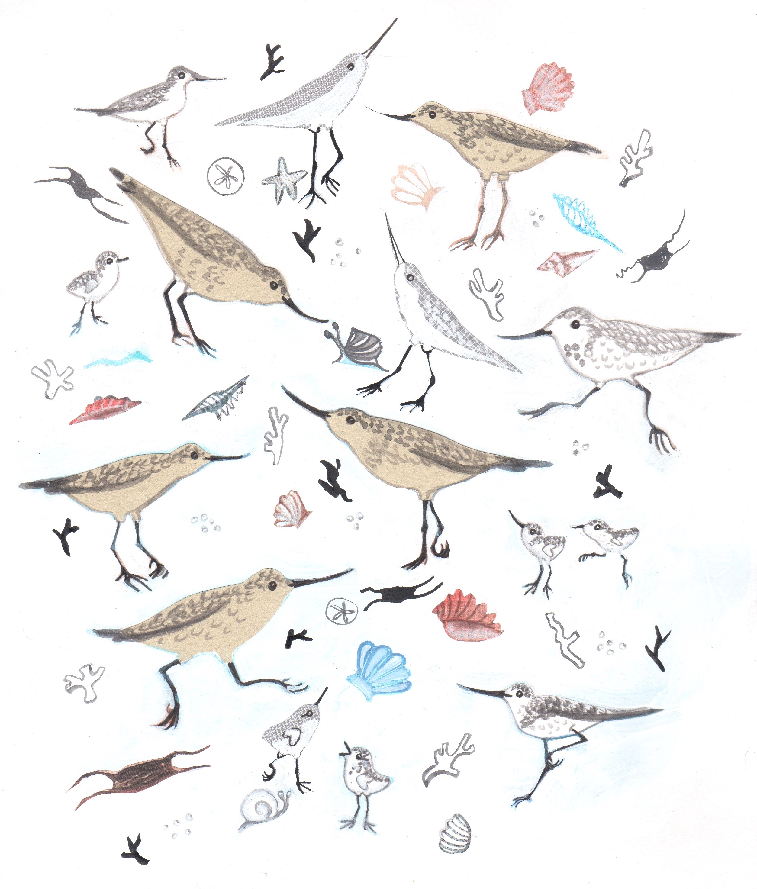 Pipers