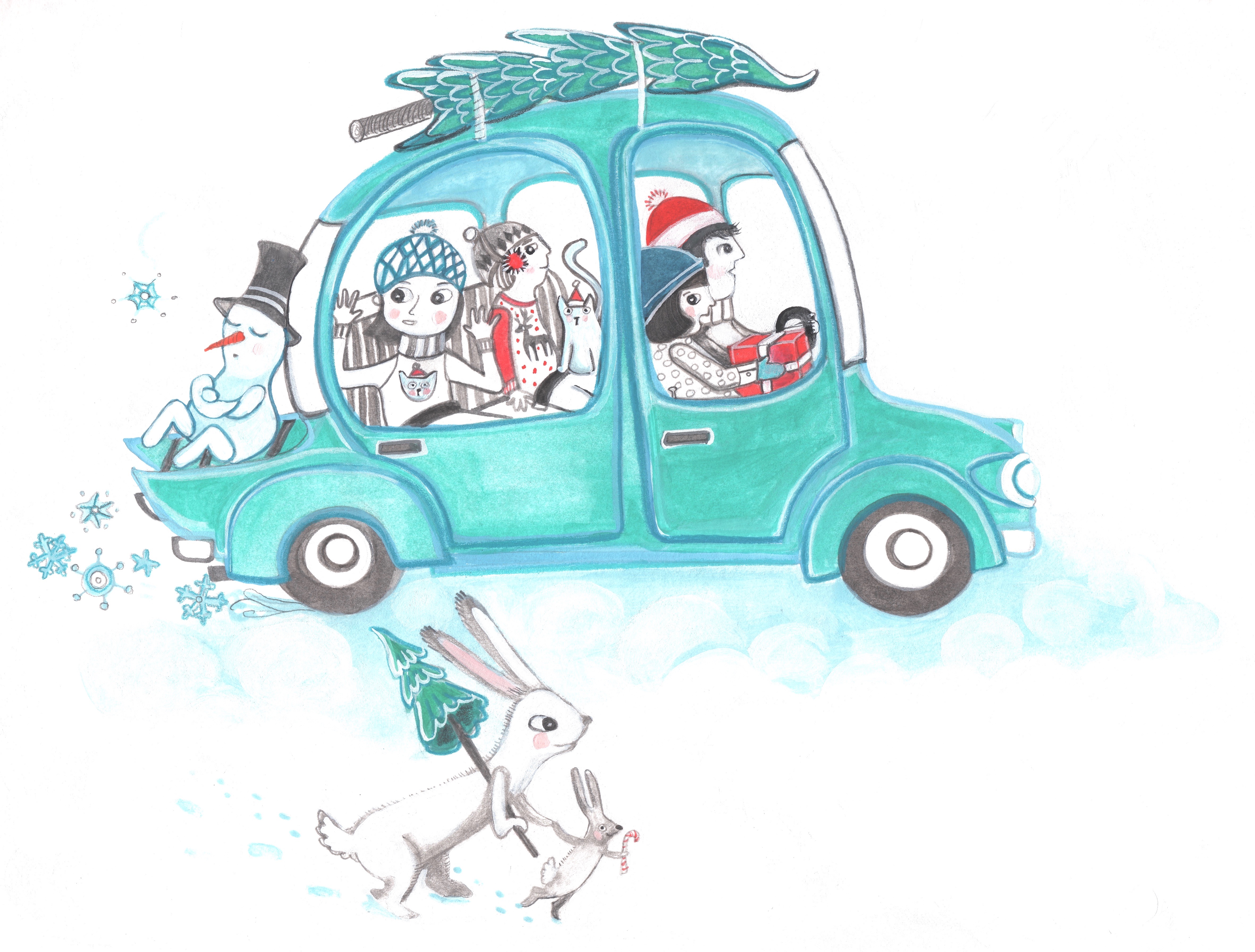 Snowy Stowaway