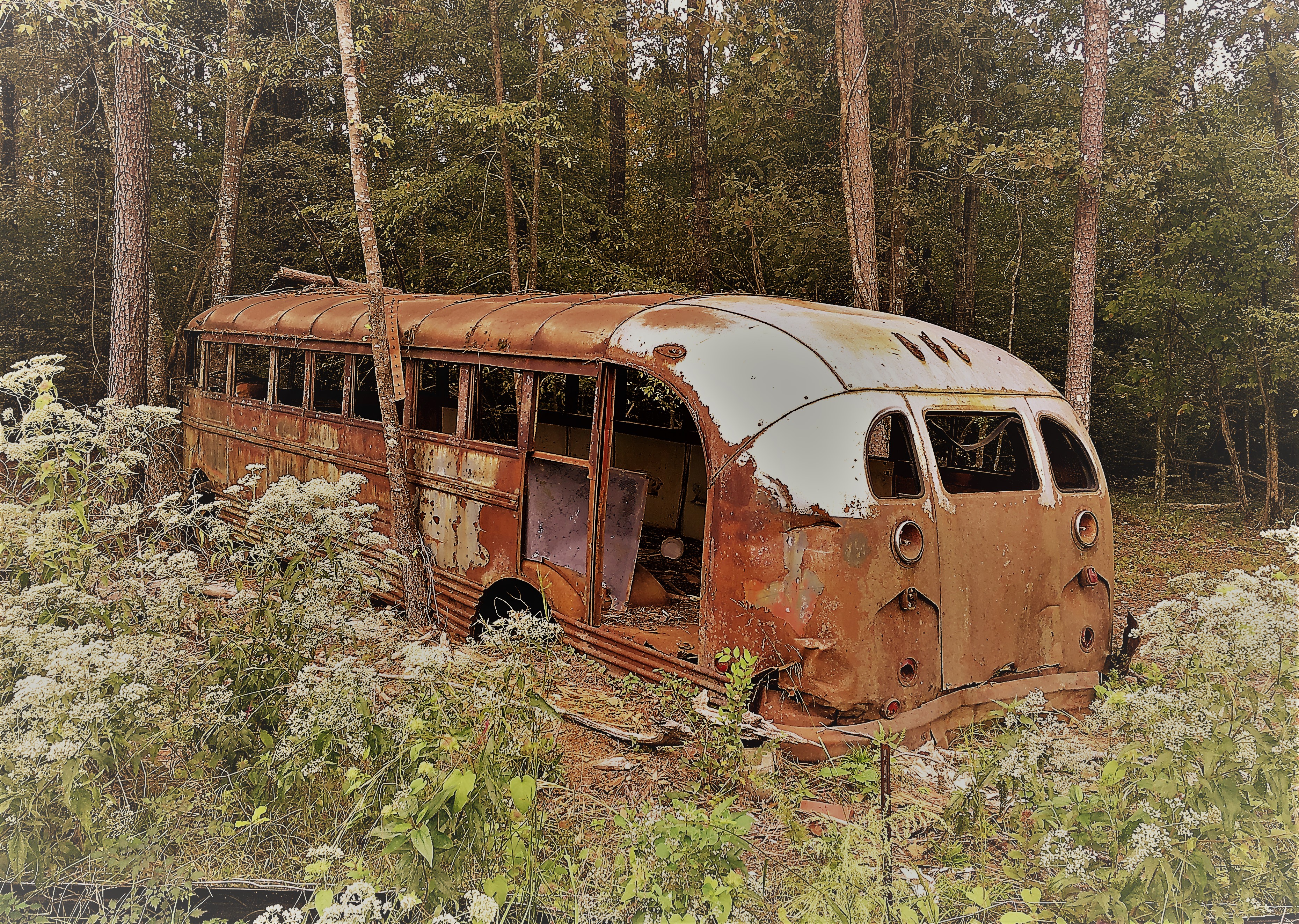 Old Bus