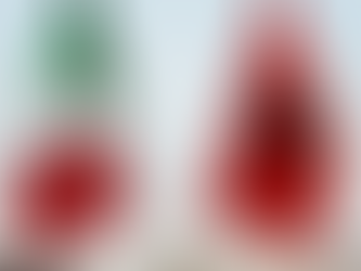 Tirana Capitale Europea delle Gioventù 2022: la settimana italiana con l’Ambasciata