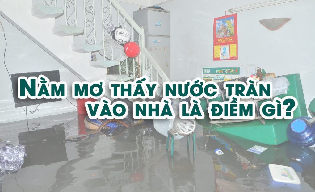 Mơ thấy nước tràn vào nhà đánh con gì? Giải mã giấc mơ trong lô đề content media
