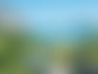Choosing Plants for Coastal Gardens in NZ