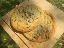 Chocolate Chip Cookies