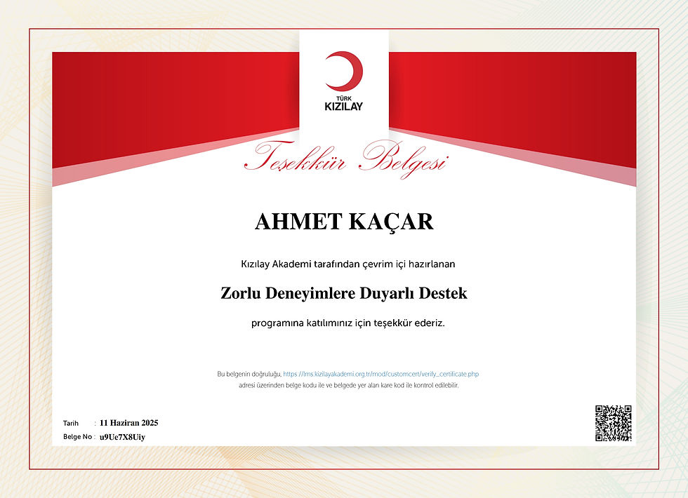 sertifikalarım 24122025_163