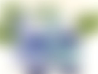 蒸し暑い夏をアロマで乗り切ろう🏝