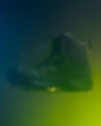 LALO Tactical