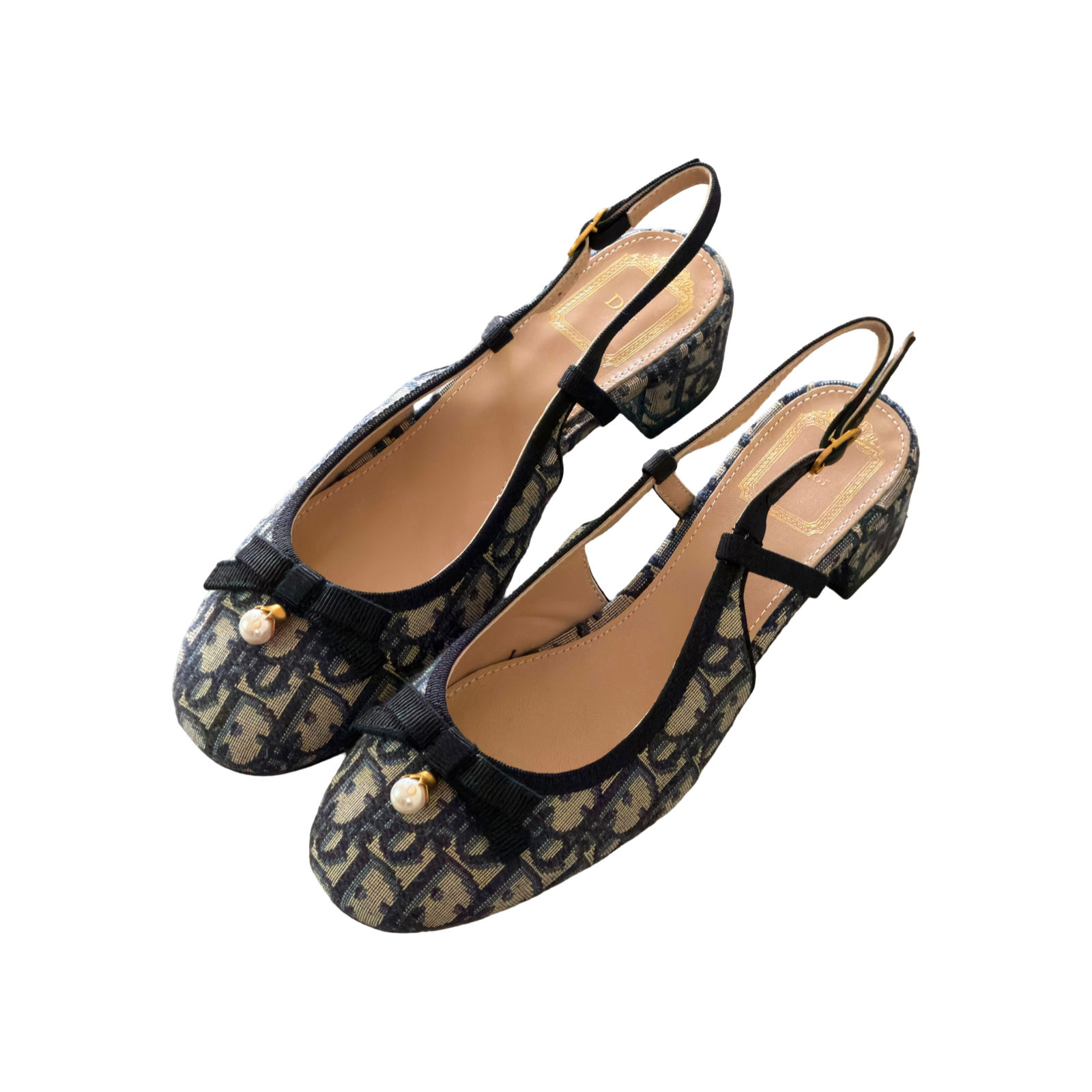 Dior Ballet Slingback Pumps