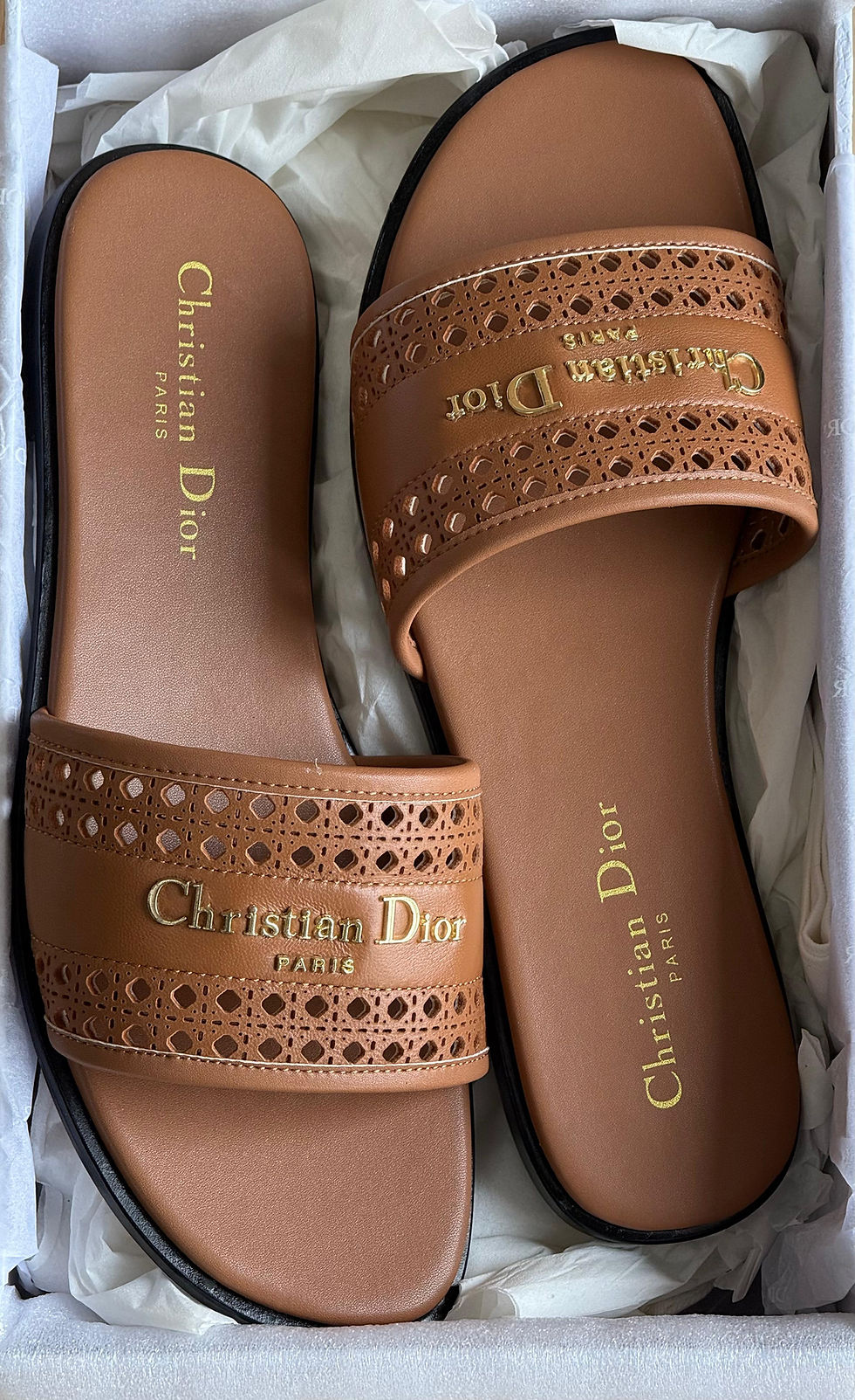 Thumbnail: Dior D-Lane Slide