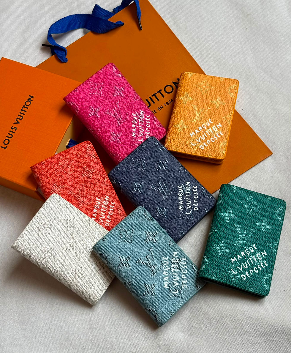 Thumbnail: LV Pocket Organizer