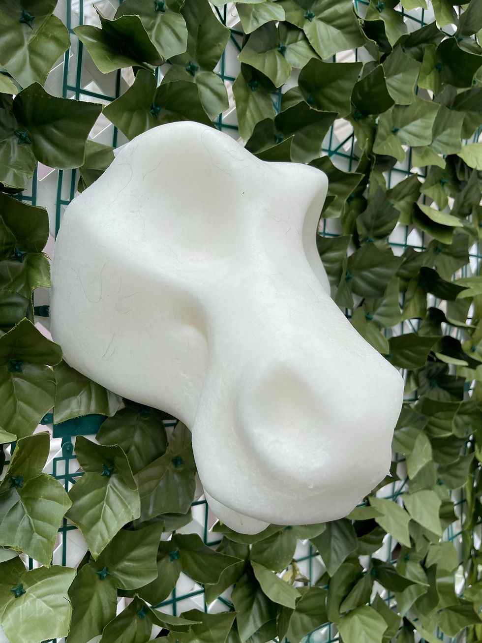 Thumbnail: Horse/Dutchie Fursuit Headbase- MADE TO ORDER