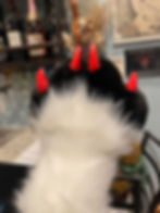 Thumbnail: Fursuit Claws!