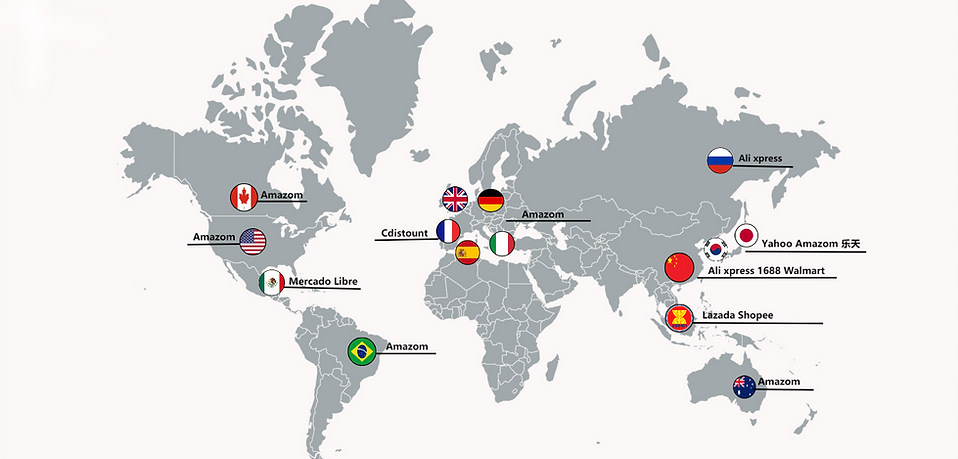 amcharts.pixelMap (8)(1).png