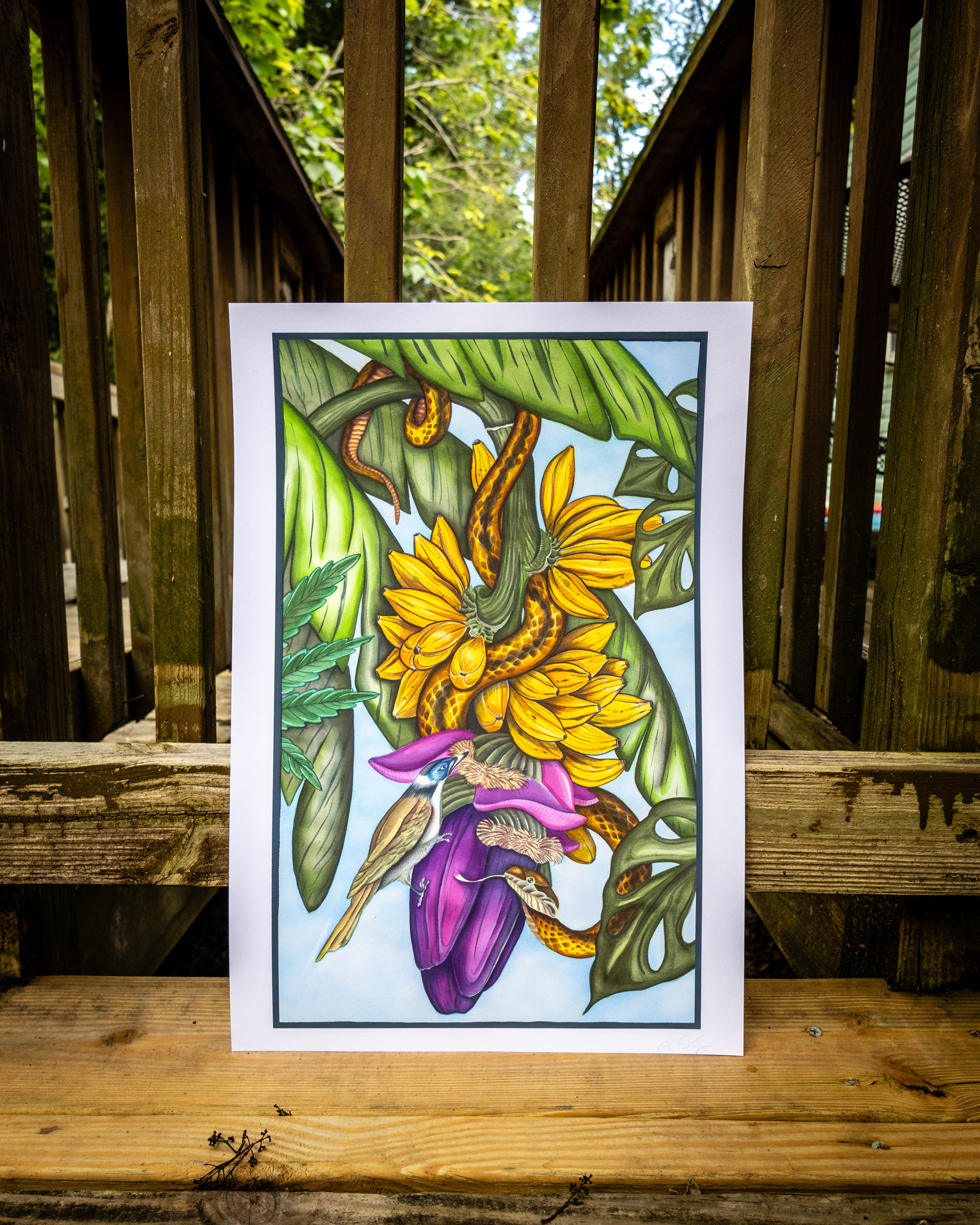 "Birds, Snakes, and Plants" - PRINT by Mike Salay