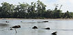 LA ISLA. SUCHIATE, CHIAPAS. Enlaces Turisticos