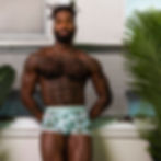 Male Model learning on window ceil wearing turquoise sheer boxer shorts with flamingos