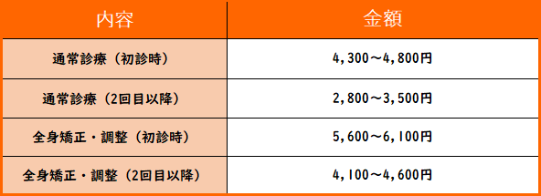 自費表.png