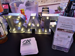 Bar Barman Bartender