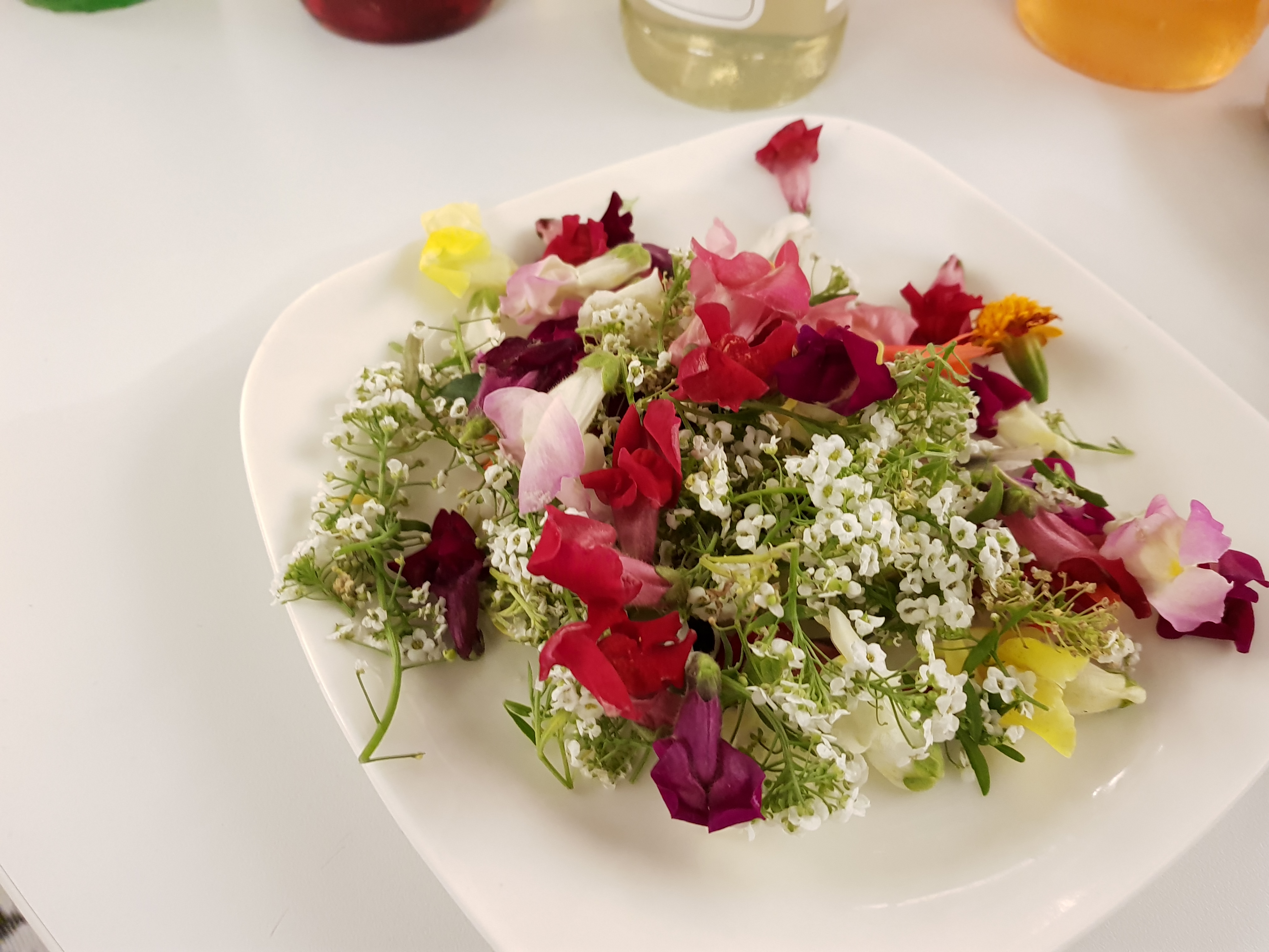Fleurs Koppert Cress ANA Distri