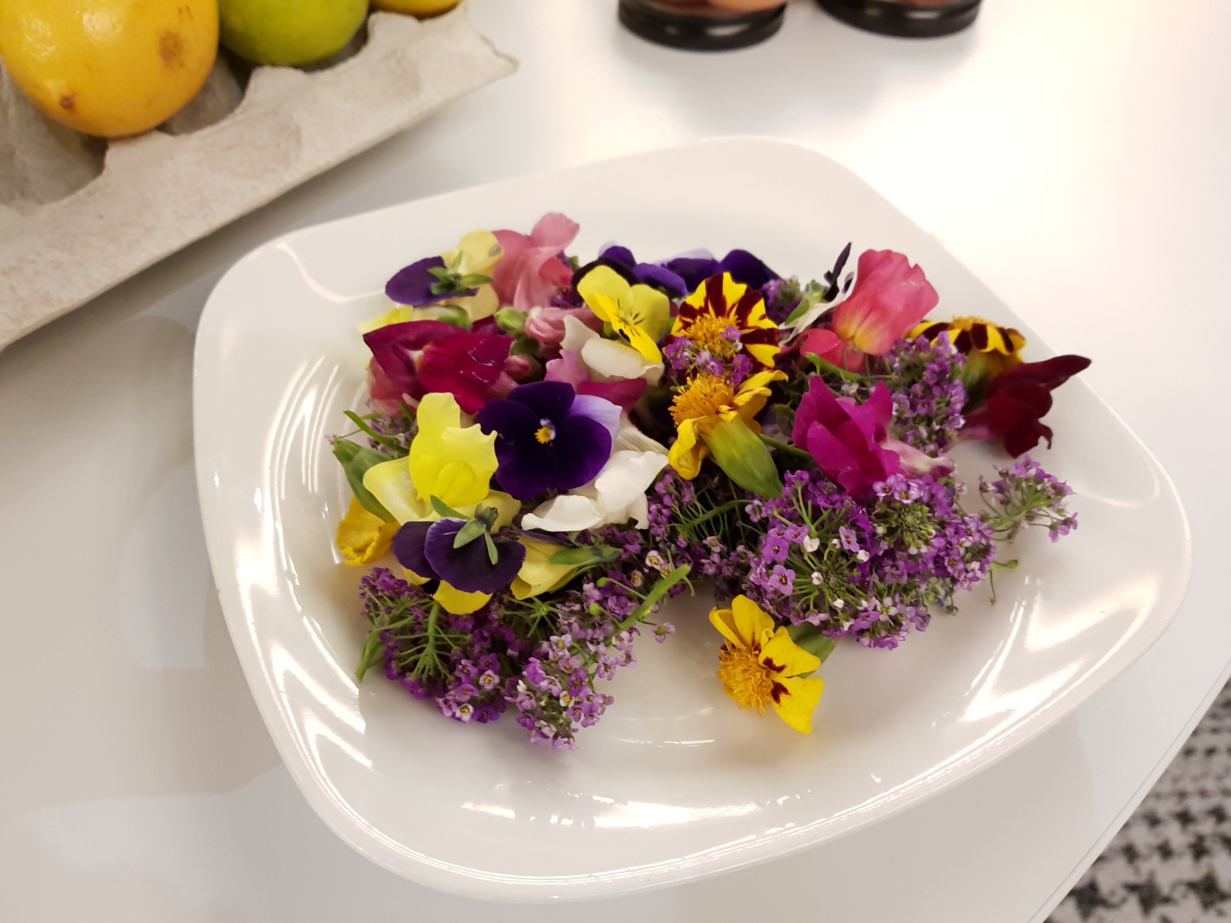Fleurs Koppert Cress ANA distri