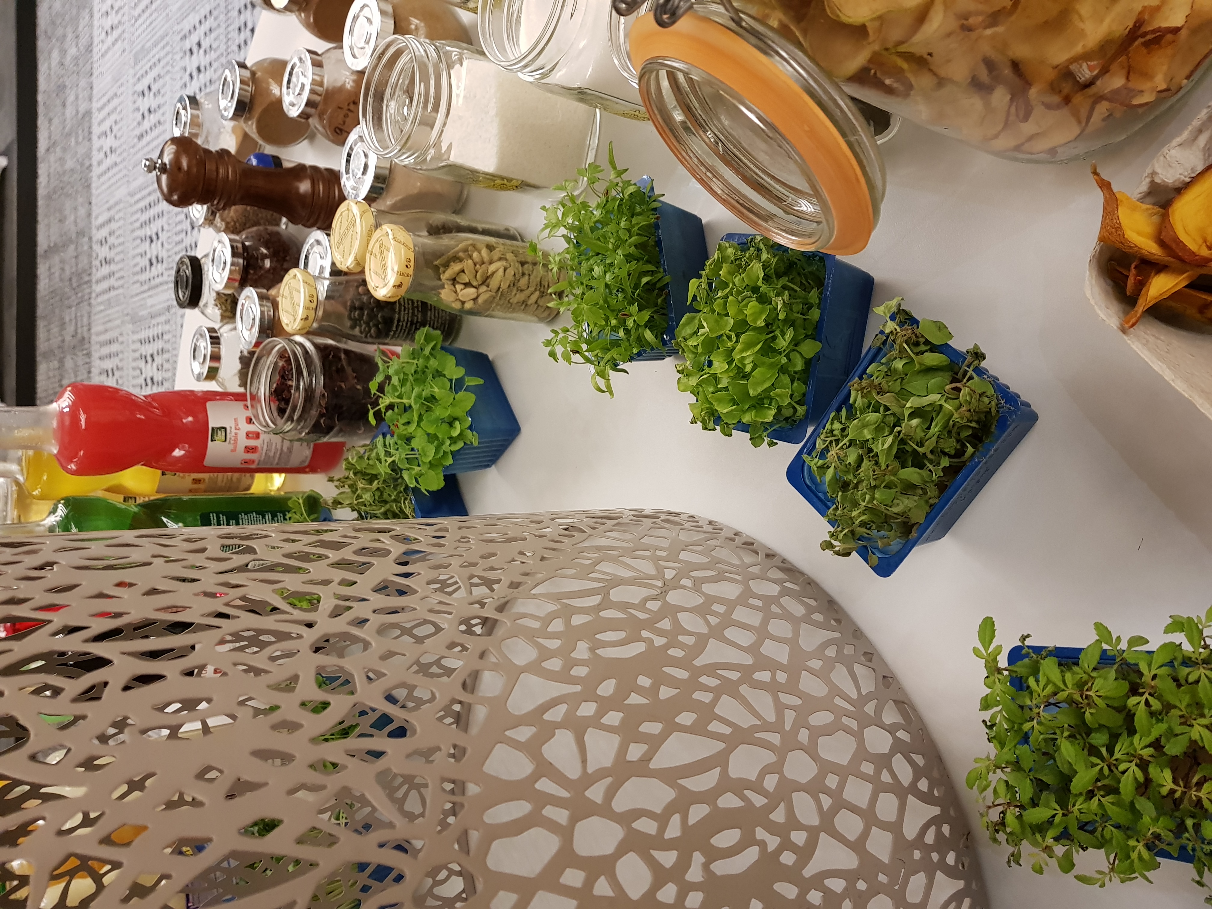 Jeunes pousses Koppert Cress