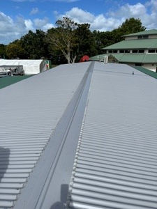 Roofing Replacement & Installation Project by Puddlefish Platt at Tepapa School