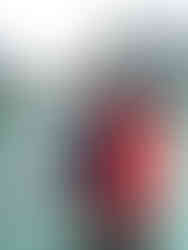 Tracy Arm is over 30 miles long and flanked by cliffs rising 3,000 feet high. It’s home to the Dawes Glacier, which still actively calves — a process where massive chunks of ice break off and crash into the sea, creating icebergs.