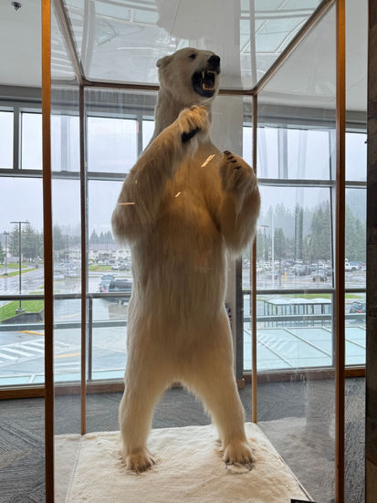 Welcome to Juneau, the only U.S. state capital not accessible by road. Nestled between the Gastineau Channel and the Coast Mountains, Juneau is rich in history, wilderness, and wildlife.