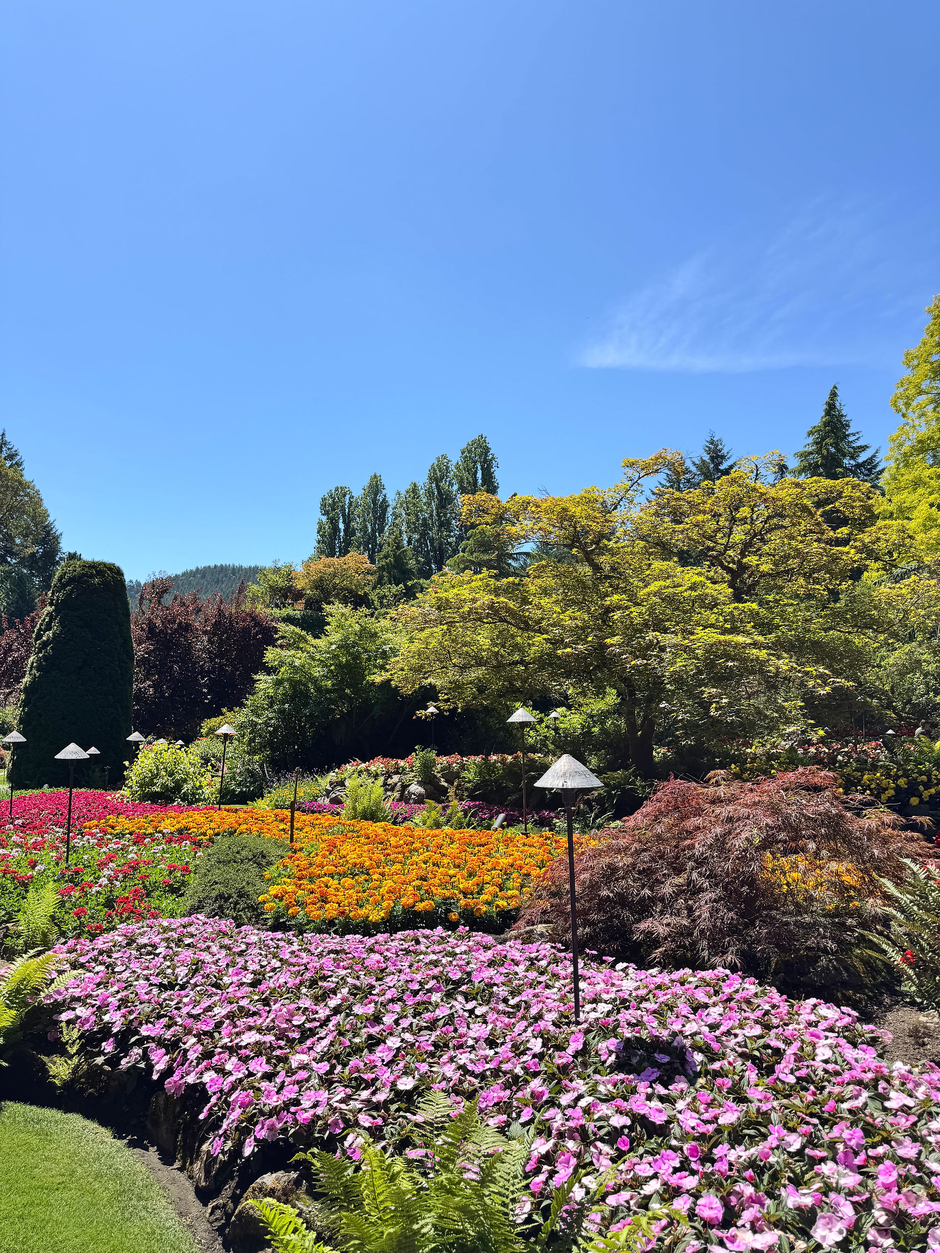 The Ultimate Vancouver Travel Guide: What to See, Do & Explore