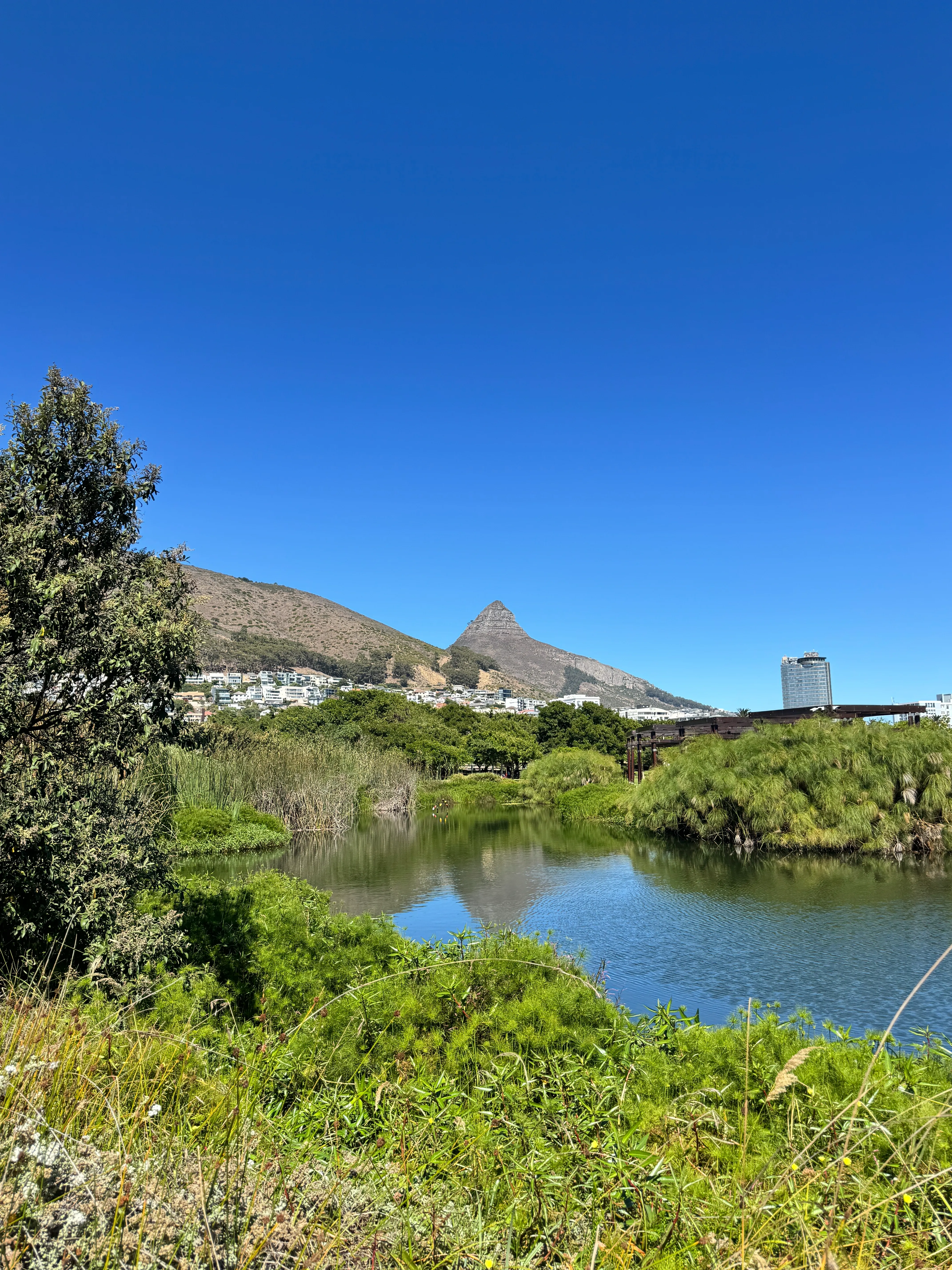 Some places leave you with photos. South Africa left me with feelings — vivid, visceral, and unforgettable. It was a trip of contrast and connection, where every stop offered something beyond the surface. These five moments didn’t just make the highlight reel — they shifted something in me.