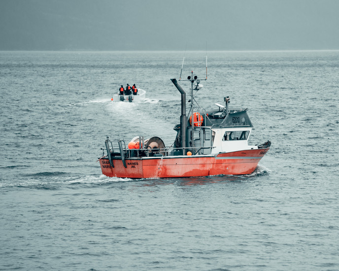 Haines is known as “The Adventure Capital of Alaska,” but it's also home to the Chilkat Bald Eagle Preserve, which hosts the largest seasonal congregation of bald eagles in the world.