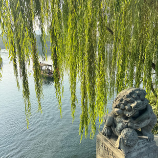 Hangzhou Travel Guide: China's "Paradise on Earth" (And Why Poets Can't Stop Writing About This City)