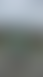 Our original plan to visit Icy Strait shifted due to weather, but Alaska’s wildness never disappoints. We explored Sullivan Island and St. James Bay, both rich in biodiversity and secluded beauty.