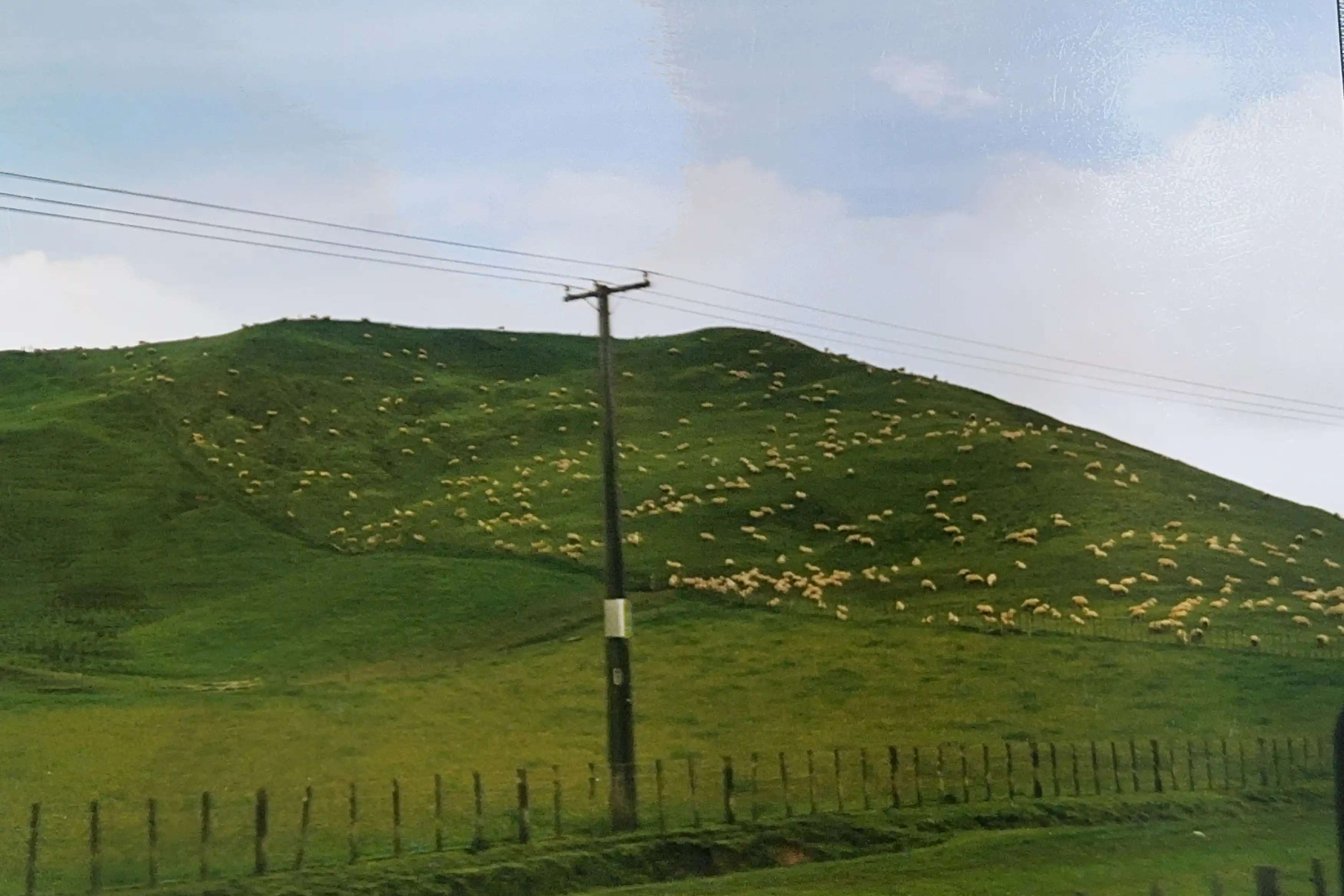 I’m sharing some of my favorite snapshots from that journey in the carousel below—a little glimpse into the magic of exploring NZ on the road. If you’ve ever dreamed of a campervan adventure, trust me, there’s no better way to see this incredible country.