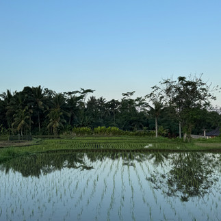 Laksventures exploring the spiritual and cultural wonders of Bali – Soul-searching journey through Bali, exploring temples, traditions, and natural beauty.