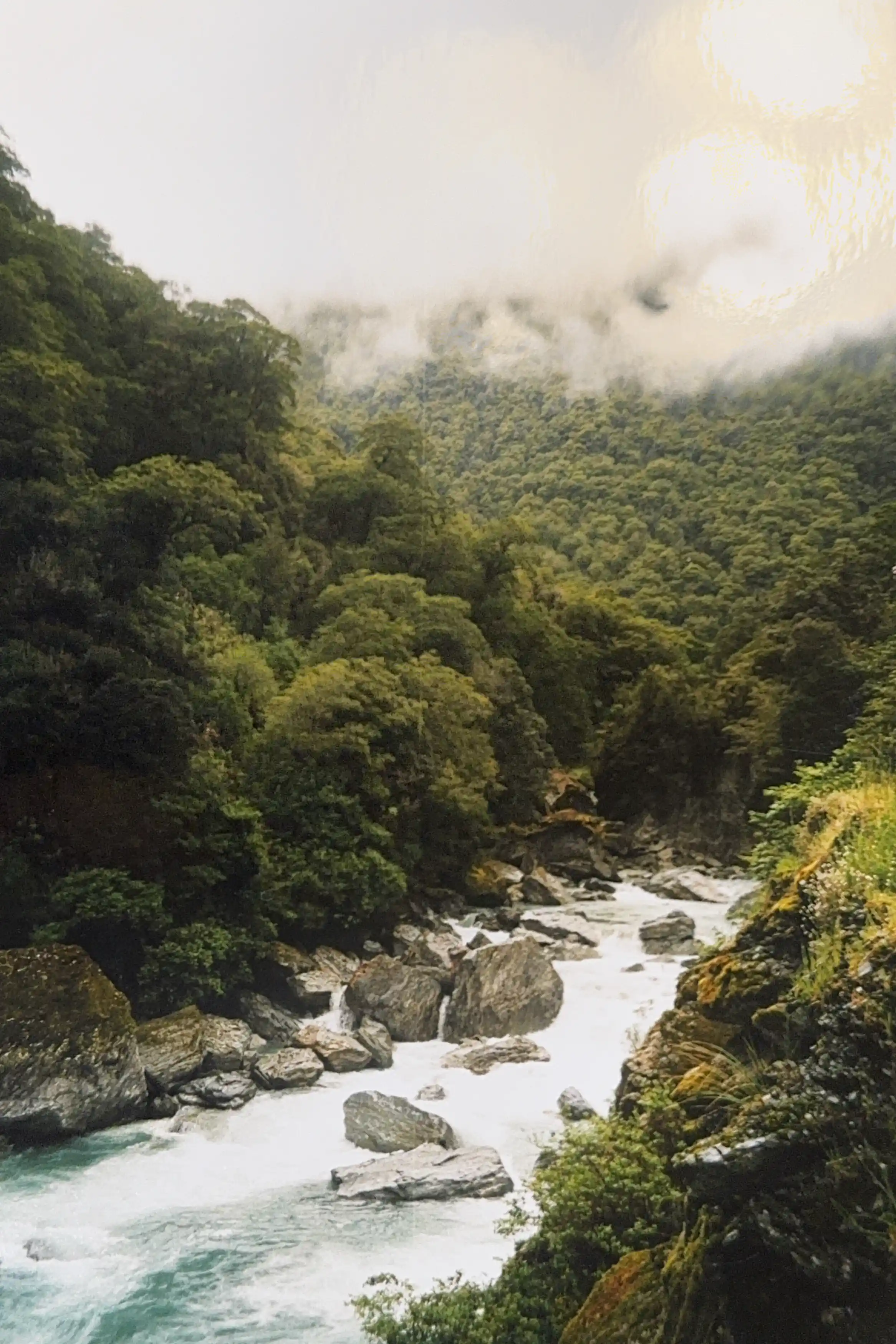 I’m sharing some of my favorite snapshots from that journey in the carousel below—a little glimpse into the magic of exploring NZ on the road. If you’ve ever dreamed of a campervan adventure, trust me, there’s no better way to see this incredible country.