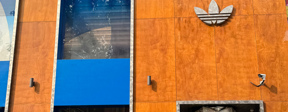 Shanghai Travel Guide: Exploring China’s Most Electric City