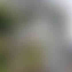 Is Kyoto the Most Beautiful City in Japan? Here's My Honest Take